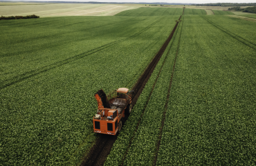 Brasil volta a ter acesso competitivo ao mercado dos EUA, avalia Ministério da Agricultura. (1)